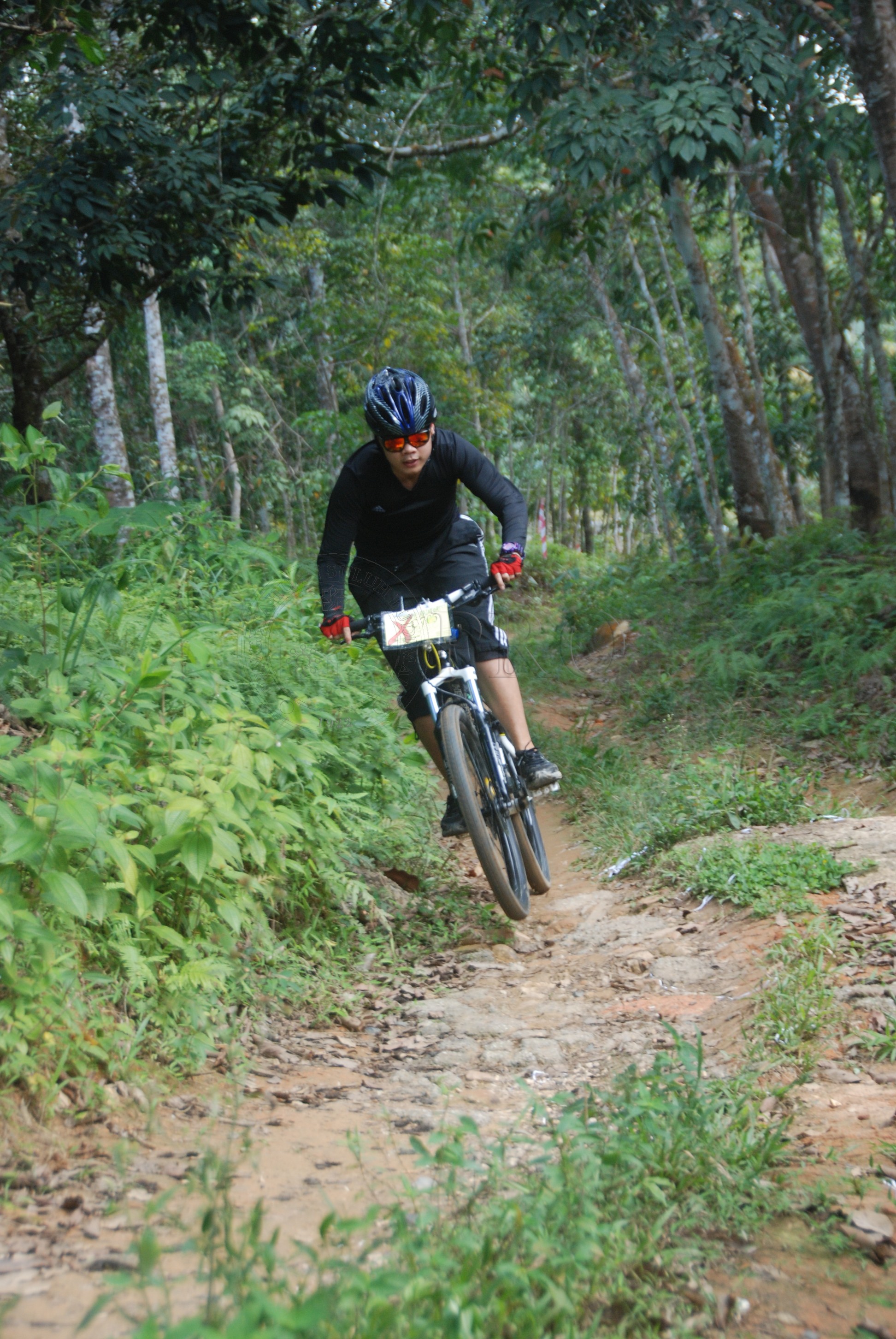 Bpkk 12 145 jamboree DSC 1225